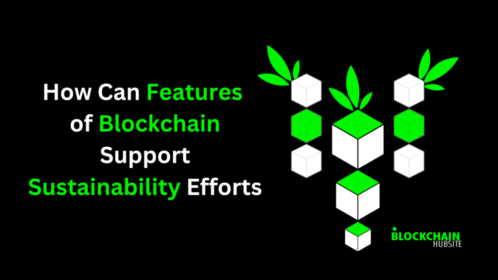 How Can Features of Blockchain Support Sustainability Efforts