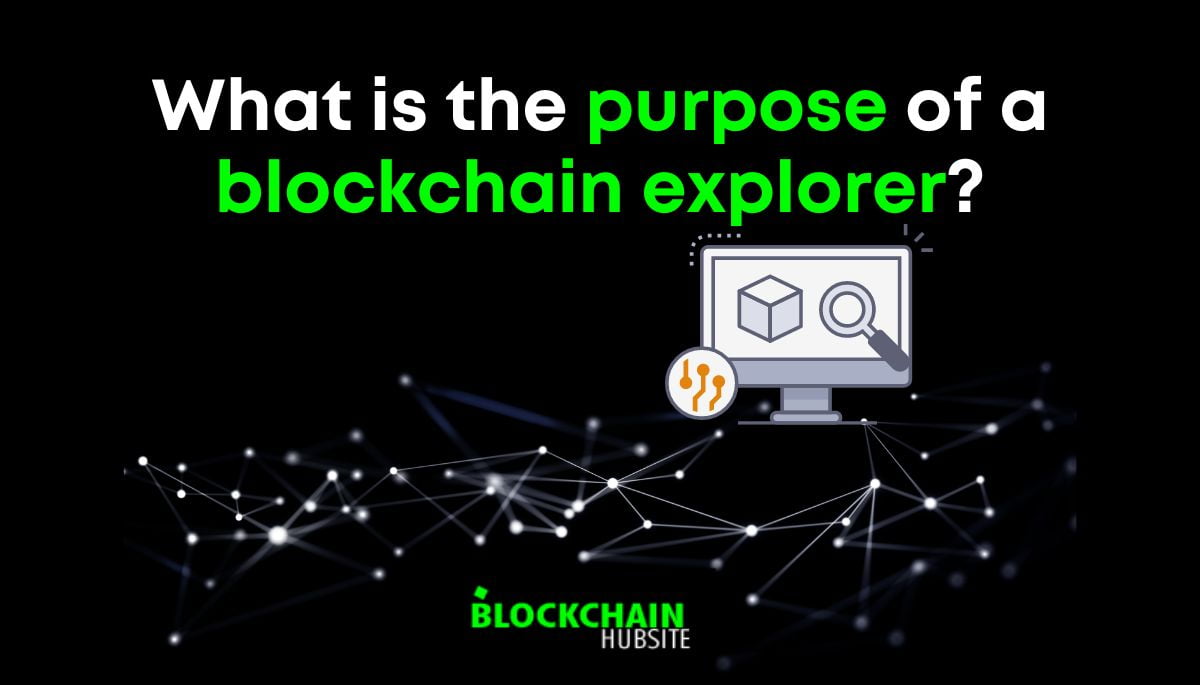 What is the purpose of a blockchain explorer